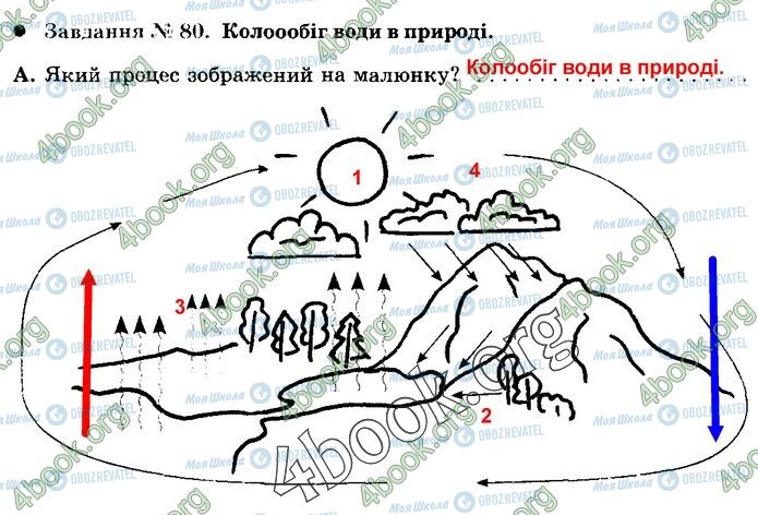 ГДЗ Природознавство 5 клас сторінка 80